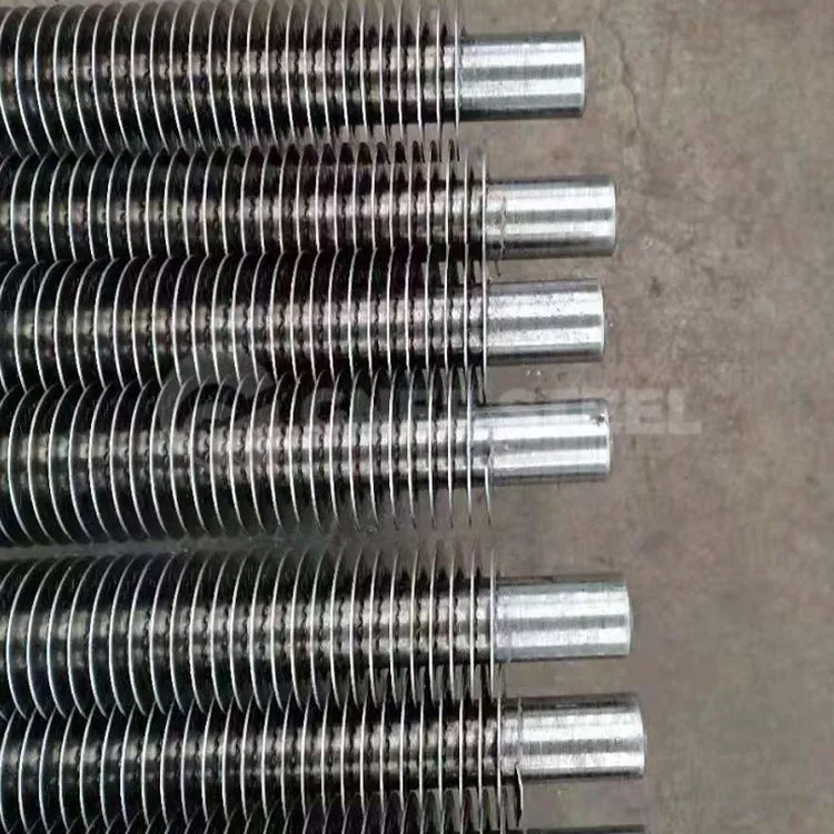 أنبوب الزعانف